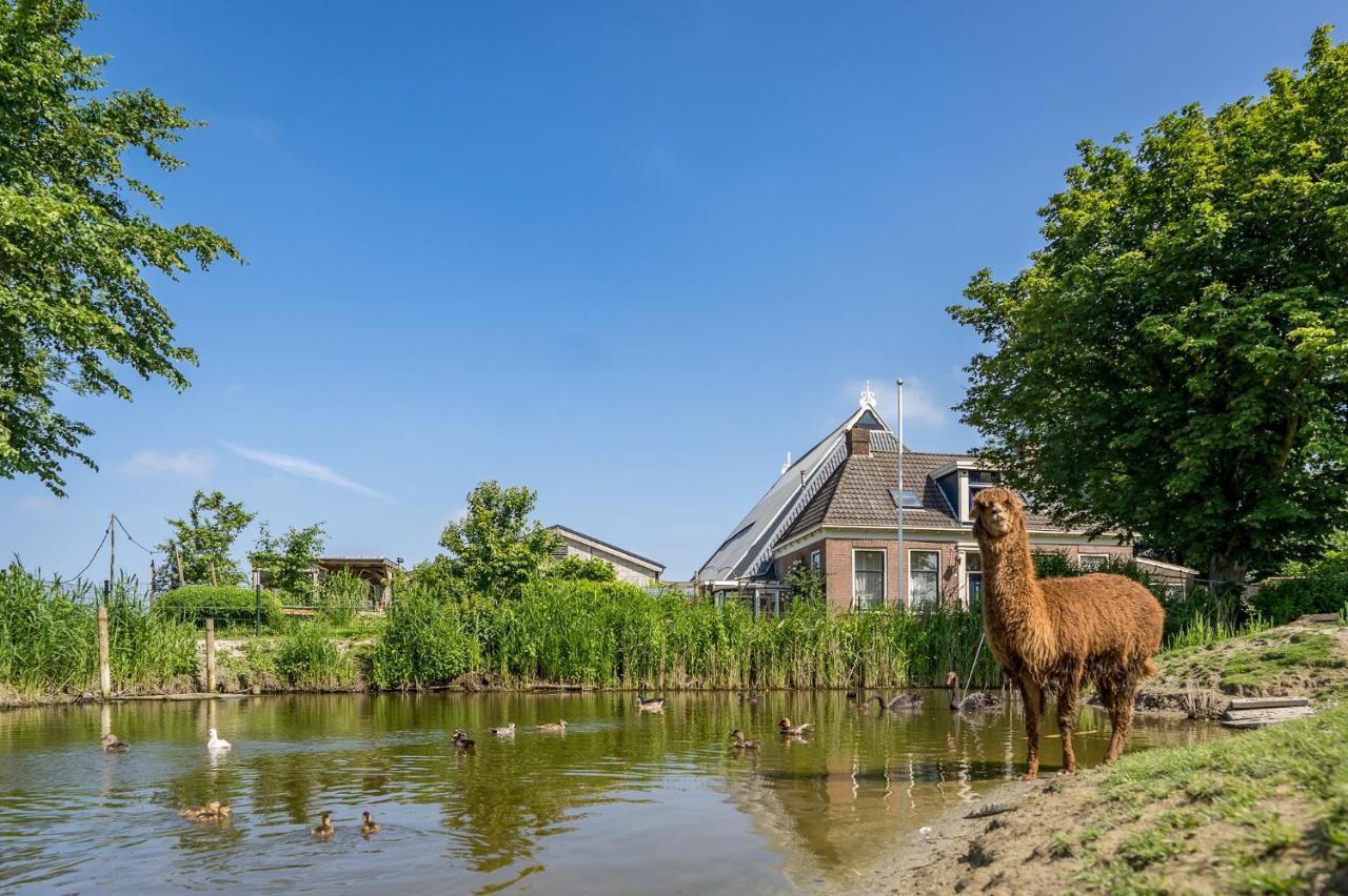 Recreatieboerderij Hoeve Noordveld Oude Bildtzijl エクステリア 写真
